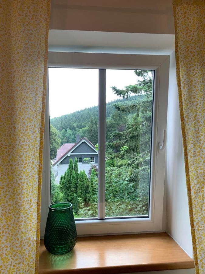 Zelené údolí Penzion